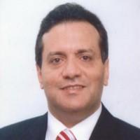 محمد الجوادي PDF